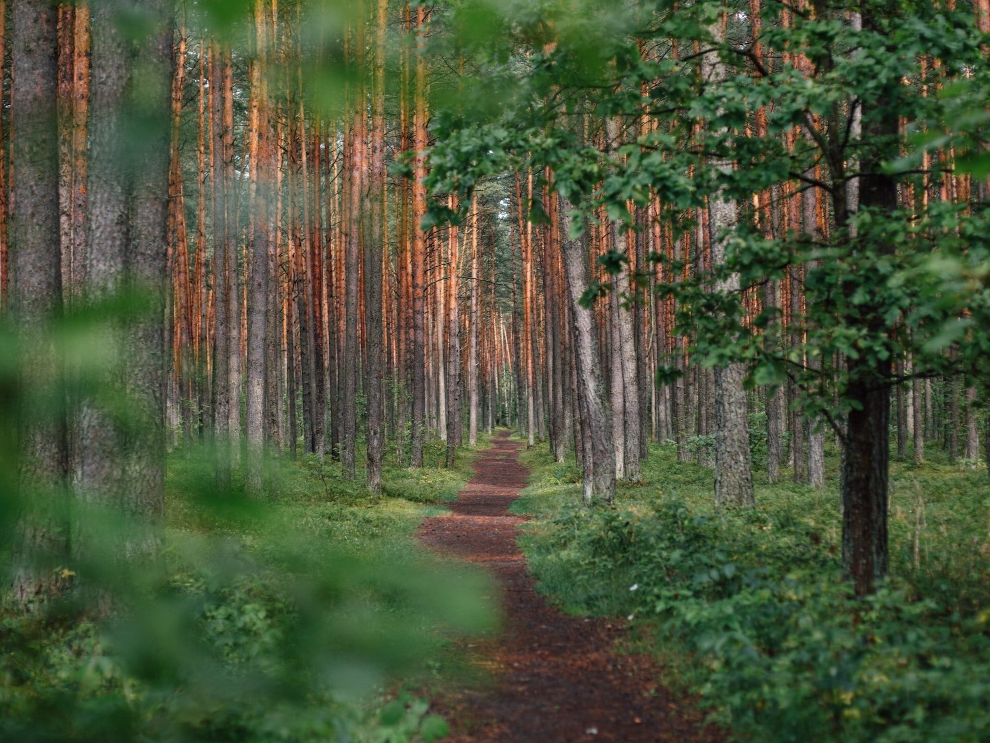 exc-6487bec3acaaf300b1da7118