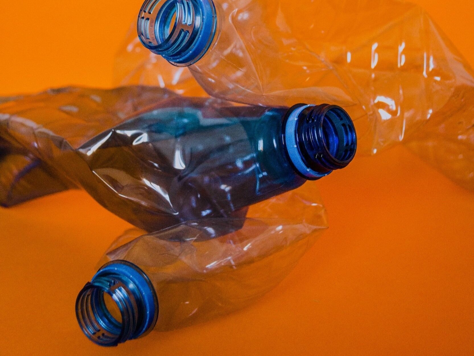 exc-64cae75ab5b56917db525e53