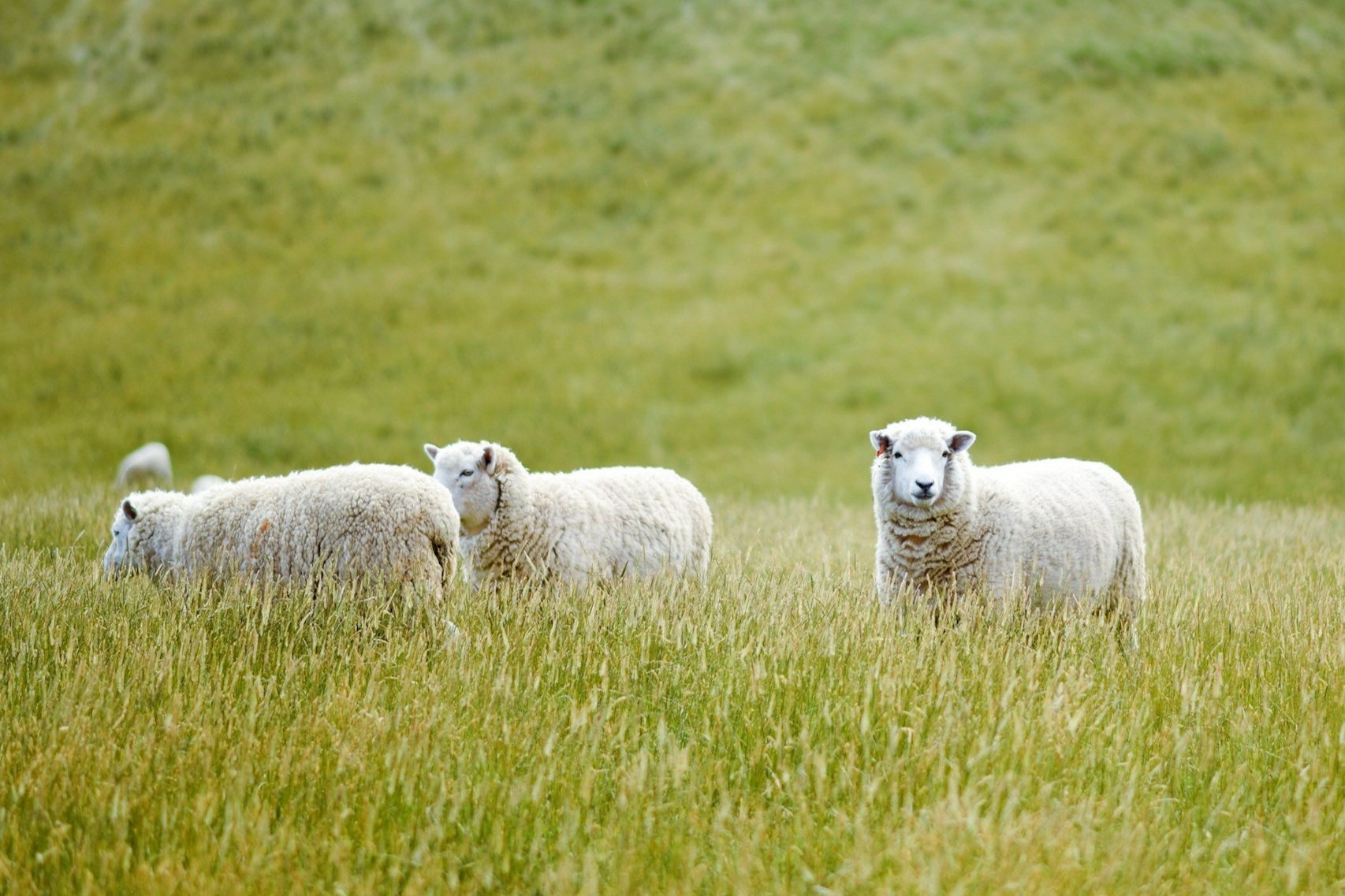 exc-662182e62af31f78d72348c5